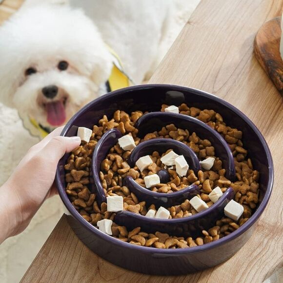 NIB LE TAUCI Dog Slow Feeder Ceramic, 1.5 Cups Slow Eater Bowl for Dogs - Picture 2 of 9